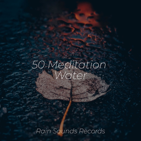 Windswept Echoes of the Meadow ft. Guided Meditation & Weather Factory | Boomplay Music