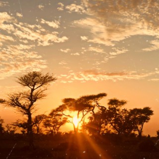 Coucher de Soleil Acoustic