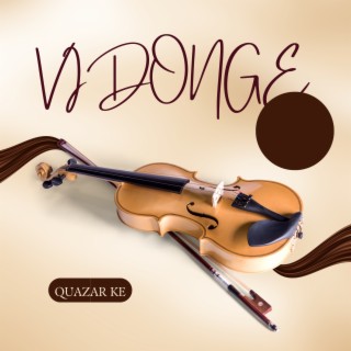 Vidonge