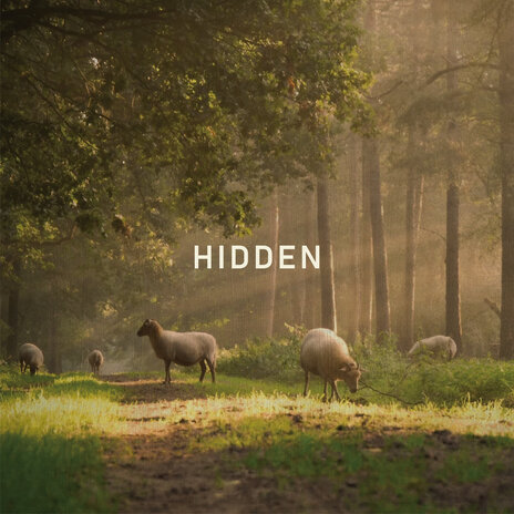 Hidden