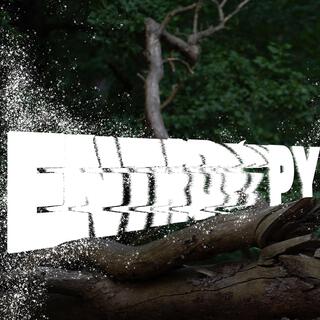 Entropy