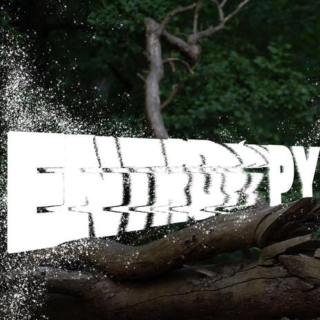 Entropy | Boomplay Music