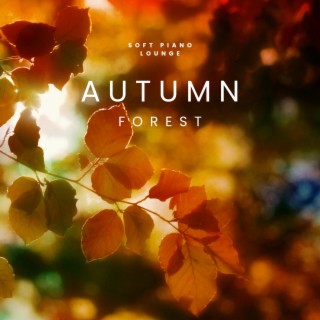 Autumn Forest (Singing Birds)