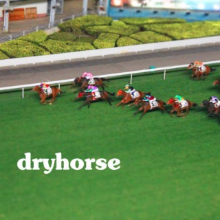 Dryhorse