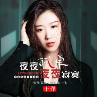 夜夜孤单夜夜寂寞 lyrics | Boomplay Music