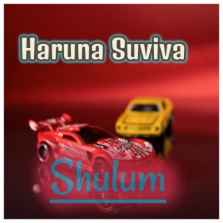 Shulum