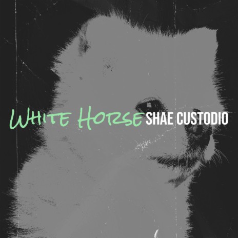 White Horse | Boomplay Music