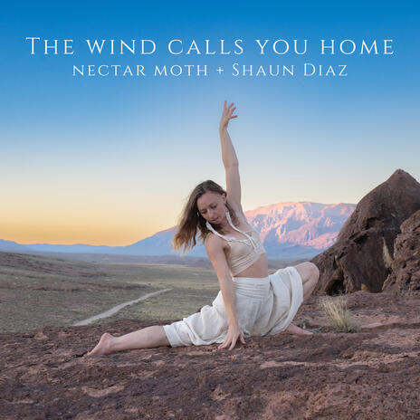 The Wind Calls You Home ft. Shaun Diaz | Boomplay Music