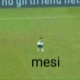 mesi