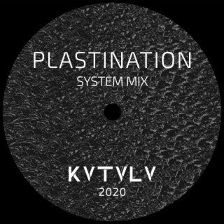 Plastination (SYSTEM Mix)