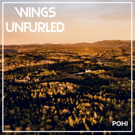 Wings Unfurled | Boomplay Music