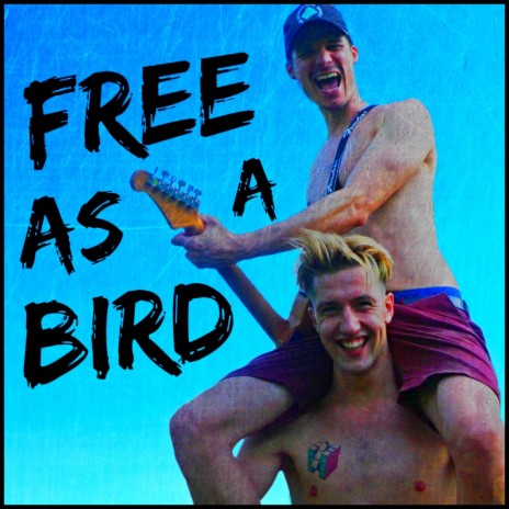 Free as a Bird ft. Dani Szemko | Boomplay Music