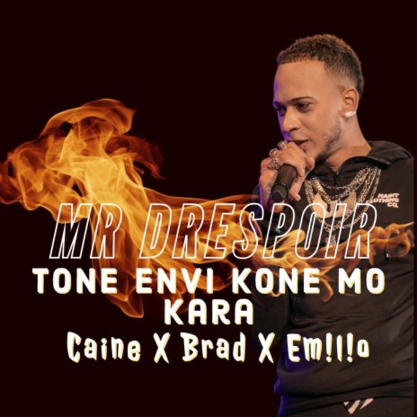 Tone Envi Cone Mo Kara