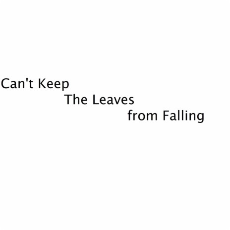 Can't Keep The Leaves From Falling | Boomplay Music