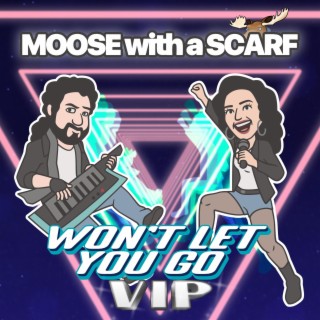 Won't Let You Go (VIP) ft. Lauren Richards lyrics | Boomplay Music