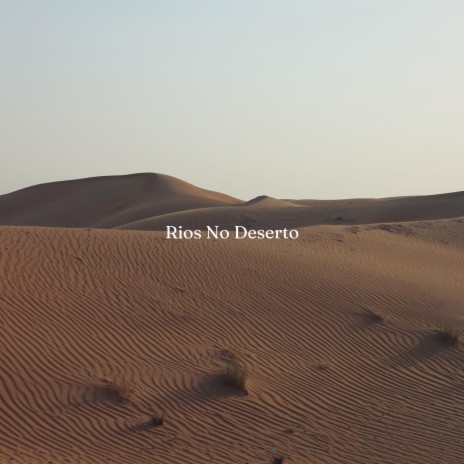 Rios No Deserto