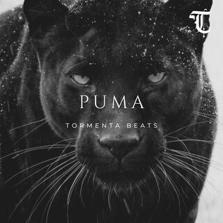 PUMA (Rap Boom Bap Instrumental)