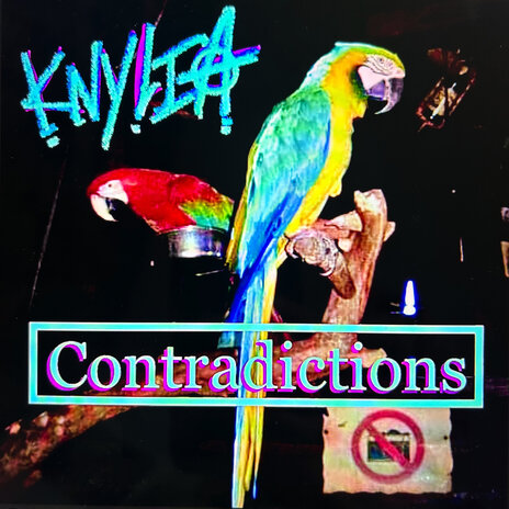 Contradictions | Boomplay Music