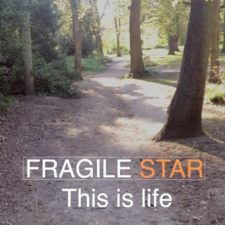 Fragile Star