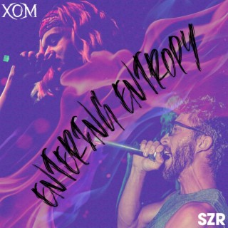 ENTERING ENTROPY ft. SZR lyrics | Boomplay Music
