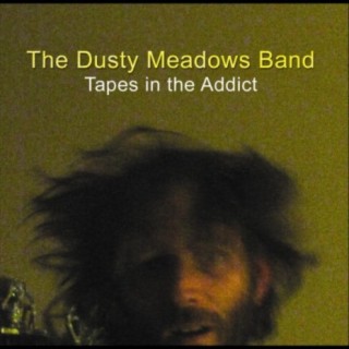 The Dusty Meadows Band