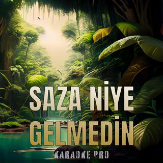 Saza Niye Gelmedin