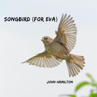 Songbird (For Eva)