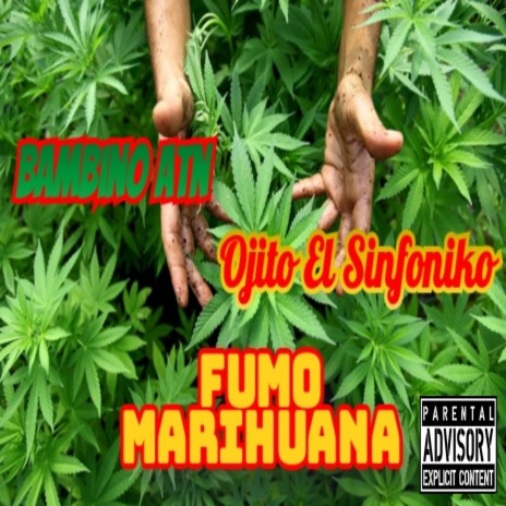 Fumo Marihuana ft. Ojito El Sinfoniko & Abner Gabriel Contreras | Boomplay Music