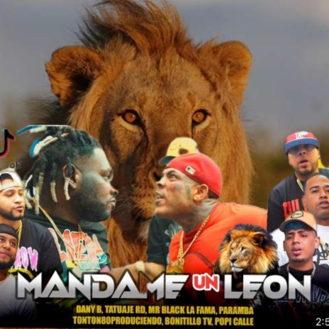 MANDAME UN LEON ft. Tonton 80, Paramba, Dany B & Tatuaje | Boomplay Music