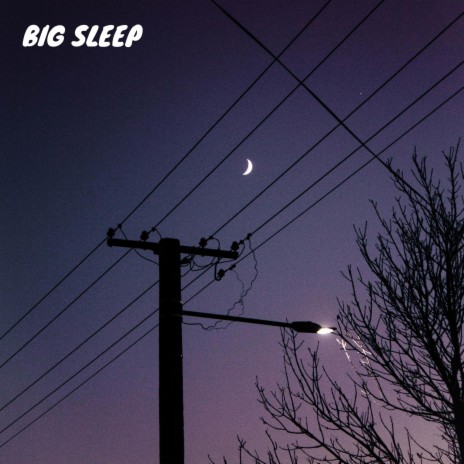 Big Sleep | Boomplay Music