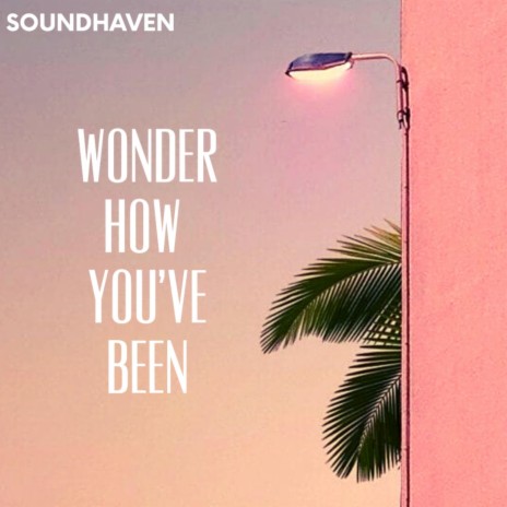 Wonder How You've Been | Boomplay Music