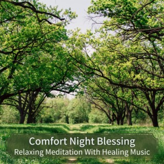 Relaxing Meditation with Healing Music