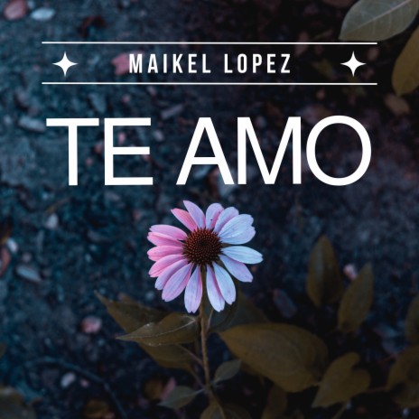 Te Amo | Boomplay Music