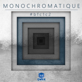 Monochromatique (#bfc1c2)