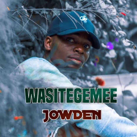 Wasitegemee