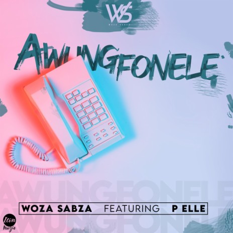 Awungfonele (feat. P Elle) | Boomplay Music