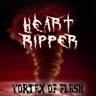 Vortex Of Flesh lyrics | Boomplay Music