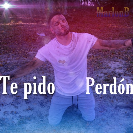 Te Pido Perdon | Boomplay Music