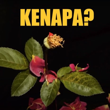 Kenapa? | Boomplay Music