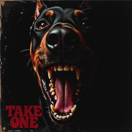 TAKE ONE | Boomplay Music