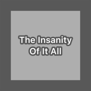 The Insanity Of It All lyrics | Boomplay Music