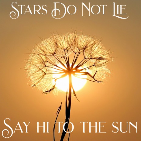 Say Hi To The Sun | Boomplay Music