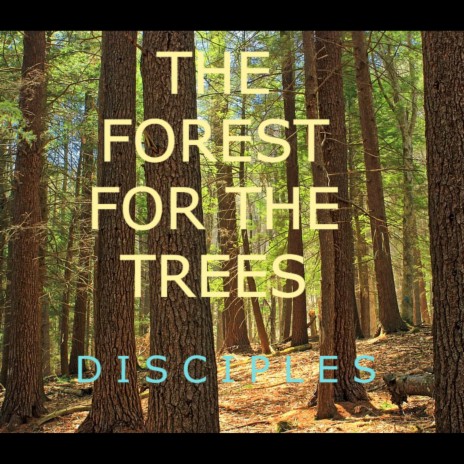 The Forest for the Trees | Boomplay Music