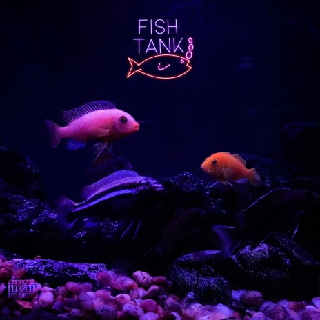 Softly ft. Fish Tank & Jas Alexa