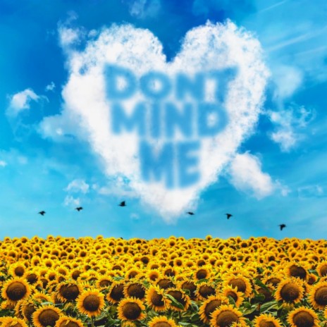 Dont Mind Me | Boomplay Music