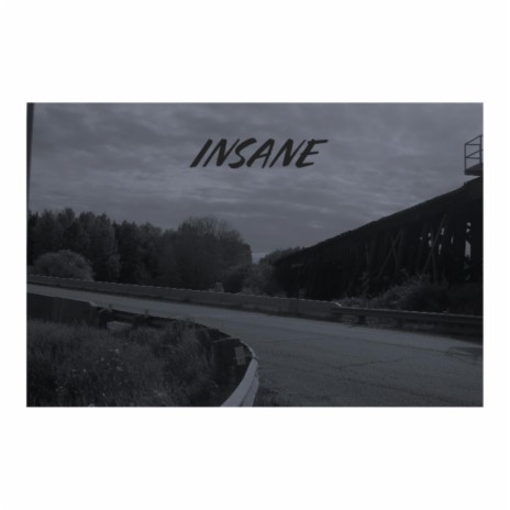 Insane | Boomplay Music