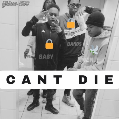 Can't Die