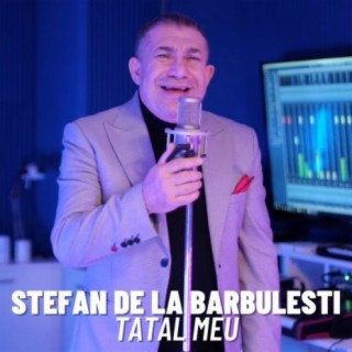 Stefan de la Barbulesti