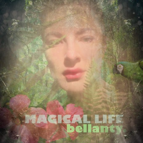 Magical life | Boomplay Music