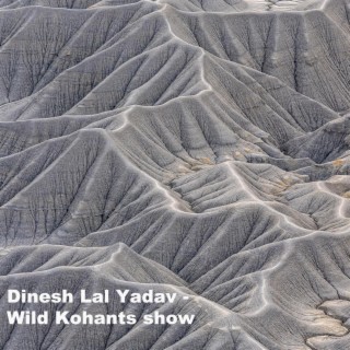 Wild Kohants show